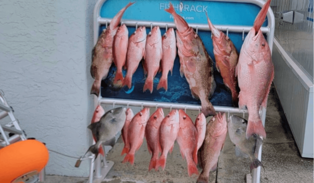 6-Hour Private Fishing Charter $1050